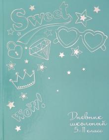 Дневник 5-11 кл. АКСЕССУАРЫ,51870