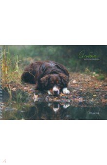 Альбом для рис.30л,греб,Пес у озера,АСЛ301778