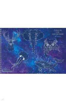 Альбом для рис.40л,греб,Звездная карта,АСКЛ401810