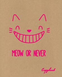 Тетрадь 48л,Funny Pink,ТКК486734