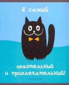 Тетрадь 48л,Черный котик,ассортимент,ТКБ487209