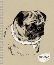 Тетрадь 48л,греб,Sketch dog,ассортимент,ТС2Л487258