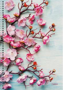 Тетрадь для конспект.96л,А4,спир,Вишня,ТСБ4964685