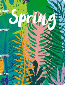 Тетрадь на кольцах 120л,Spring,ПБ1204983