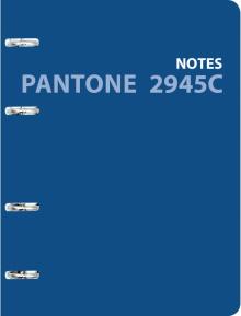 Тетрадь на кольцах 120л,Pantone line 3,ПБЛ1205005