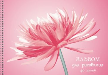 Альбом для рис.40л,греб,Цветоч.нежность,АС402375