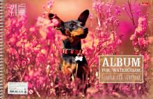 Альбом для акварели 24л,спир,Р.мечт,24Аа4Впс_18725