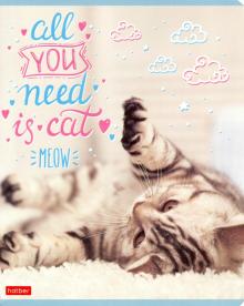 Тетрадь 48л,По имени Мяу,48Т5В1