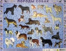 Породы собак. Детский пазл на подложк 63 эл.