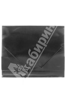 Папка A4 40 мм с резинкой дымч. 0.70мм (SB40TW-14)