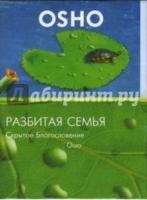 Разбитая семья. Скрытое благословение (DVD)