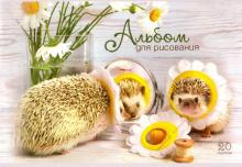 Альбом д/рисов. 20л,Тайная жизнь ежей,ассорт,49204