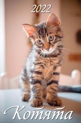 КалНастПерРиг(2022) Котята
