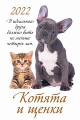 КалНастПерРиг(2022) Котята и и щенки
