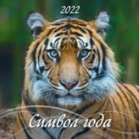 КалНастПерСкр12(2022) Символ года. Вид 1