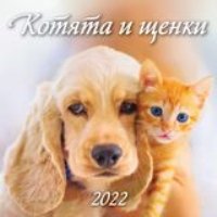 КалНастПерСкр6(285*285) (2022) Котята и щенки