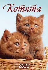 КалНастПер(170*250)(2022) Котята