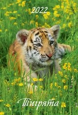 КалНастПер(170*250)(2022) Тигрята