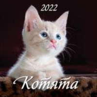 КалНастПерСкр12(225*225) (2022) Котята
