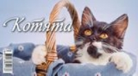 КалПерДомБол(2022) Котята