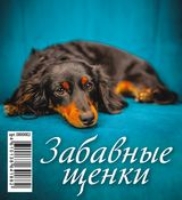 КалПерДомМал(2022) Забавные щенки