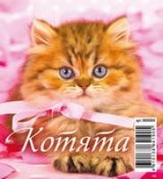 КалПерДомМал(2022) Котята