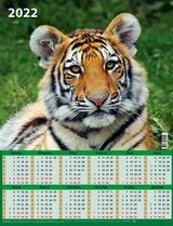 КалЛистНаст(2022) Символ года. Вид 1