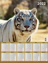 КалЛистНаст(2022) Символ года. Вид 2