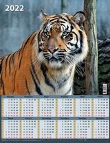 КалЛистНаст(2022) Символ года. Вид 3