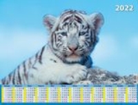 КалЛистНаст(2022) Символ года. Вид 7