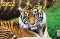 КалКвар3Спир(310*680)(2022) Символ года. Вид 2