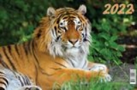 КалКвар3Спир(310*680)(2022) Символ года. Вид 3