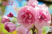 КалКвар3Спир(310*680)(2022) Цветение сакуры
