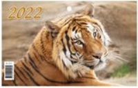 КалКвар3Спир(195*465)(2022) Символ года. Вид 2