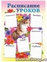 Плакат Расписание уроков (котик): Формат А4