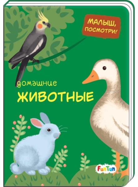 Домашние животные
