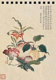 Абрикос, инжир, персик, лилия (блокнот)