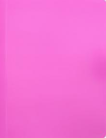 Папка 10 вклад. А4 Neon роз. (DNE07V10PINK)