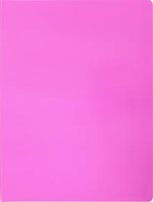 Папка 30 вклад. А4 Neon роз. (DNE07V30PINK)