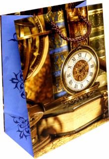 Пакет бумажный 17.8х22.9х9.8 Часы и книга 81256