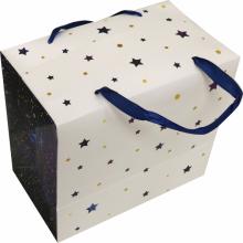 Пакет-коробка 22,5x13,5x20см Космос (81278)