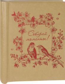Фотоальбом "СОБИРАЙ МОМЕНТЫ" магн.листы (81291)