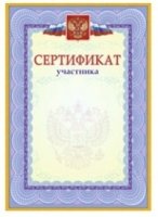 Сертификат участника (с гербом и флагом): (упаковка 200 шт.)