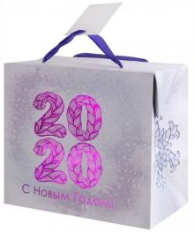 Пакет бумажный 22,5х20х13,5см 2020.79952