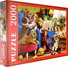 Puzzle-2000 Ф2000-3699 Игривые щенки