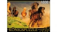 Konigspuzzle. ПАЗЛЫ 1000 элементов. КБК1000-6456 ТАБУН ЛОШАДЕЙ