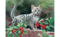 Холст с красками 30х40 см по номерам. ПОЛОСАТЫЙ КОТЕНОК (Арт. Х-7786