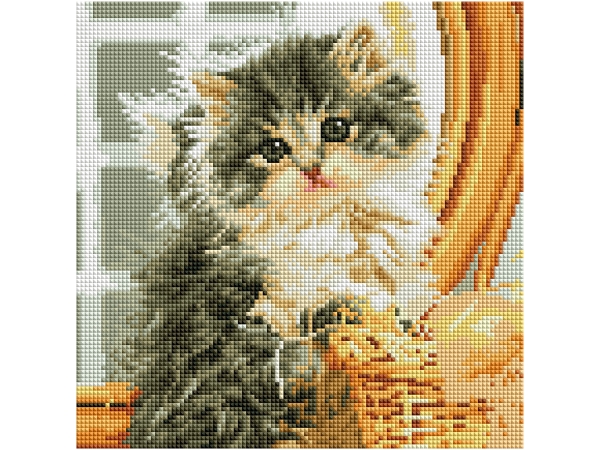 Алмазная мозаика (класс) 30*30 с подр., с полн.запол. (24цв) МИЛЫЙ КОТ