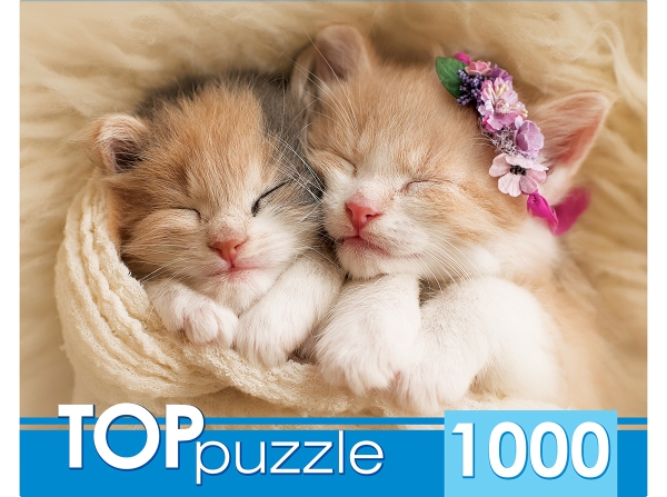 TOPpuzzle. ПАЗЛЫ 1000 элементов. ГИТП1000-2142 Два спящих котенка