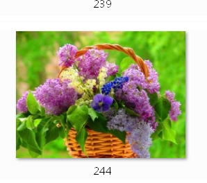 Холст с красками 22х30 см по номерам. СИРЕНЬ В КОРЗИНЕ (Арт. HS173)